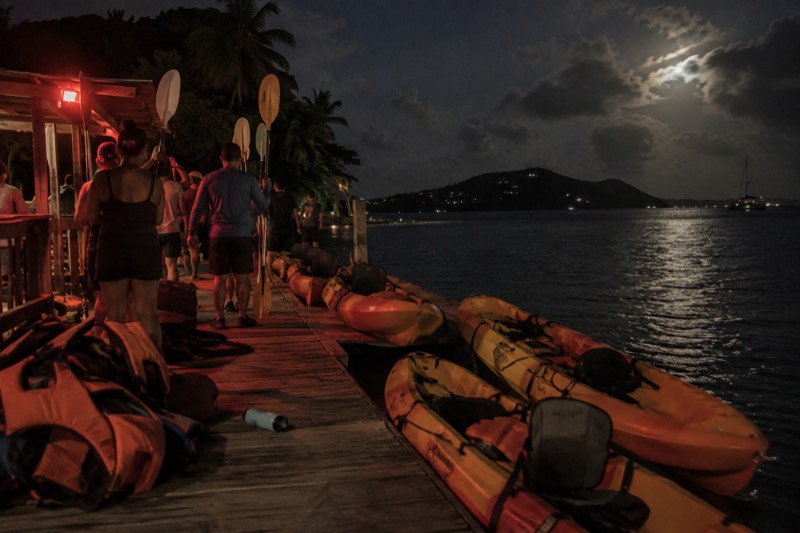 Full-Day Bio Bay With Transport