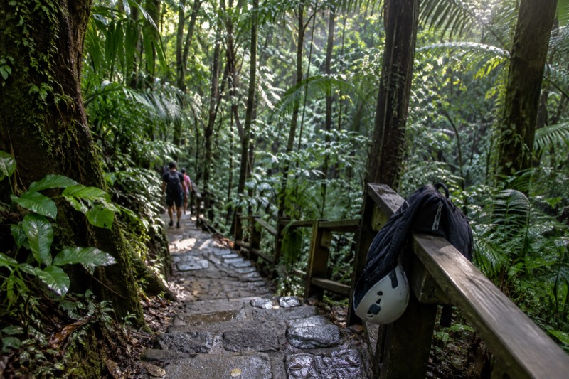 From San Juan: El Yunque Forest Hike & Ziplining Combo Tour