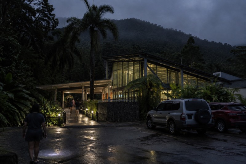 El Yunque Forest: Rainforest Nature Walk at Night Tour
