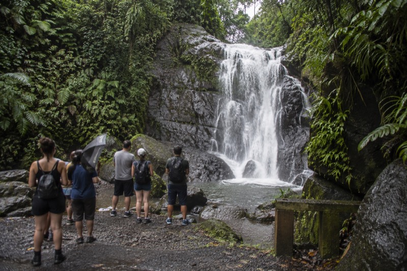 El Yunque National Forest Guided Tour with Transport