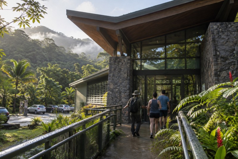 Private El Yunque Half-Day Tour with Transport