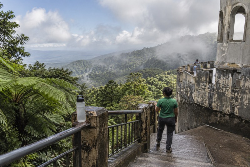 El Yunque Rainforest Guided Day Tour from San Juan