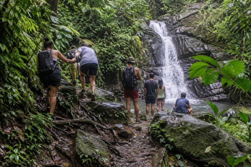 San Juan: El Yunque Rainforest Guided Tour