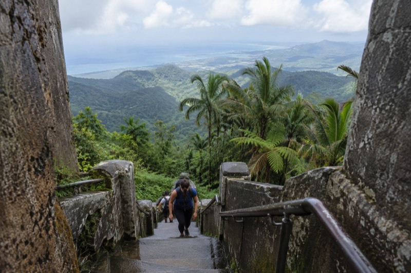 El Yunque Rainforest Hike with Transport from San Juan