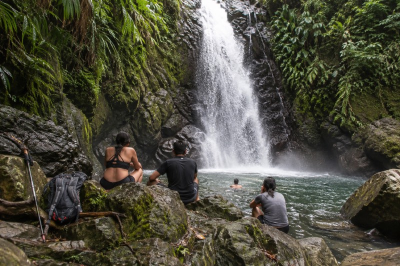 From San Juan: El Yunque Rainforest Hiking Adventure
