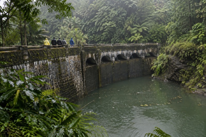El Yunque Rainforest Tour with San Juan Transportation