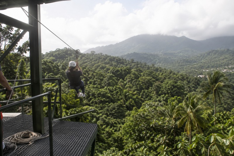 90-Minute Zipline Experience