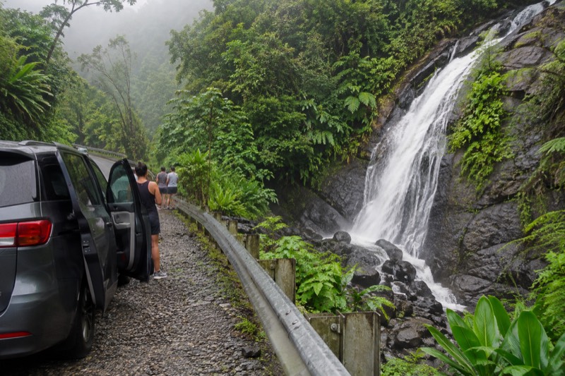 Puerto Rico: El Yunque Sightseeing Half-Day Tour w/Transfer