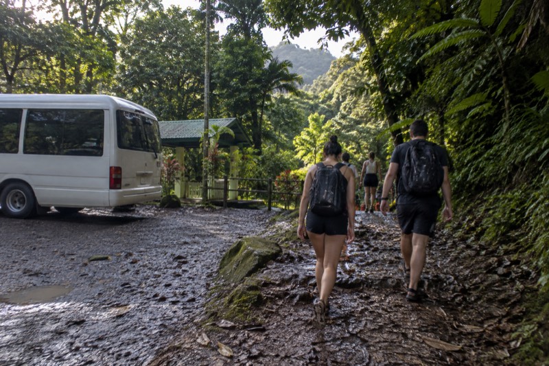 Small-Group El Yunque Rainforest & Transportation Luquillo Beach