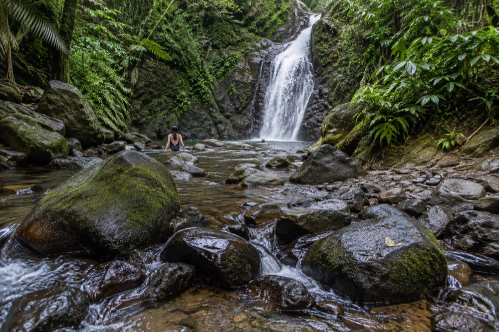River rocks and shallow water moving through green rainforest under low clouds