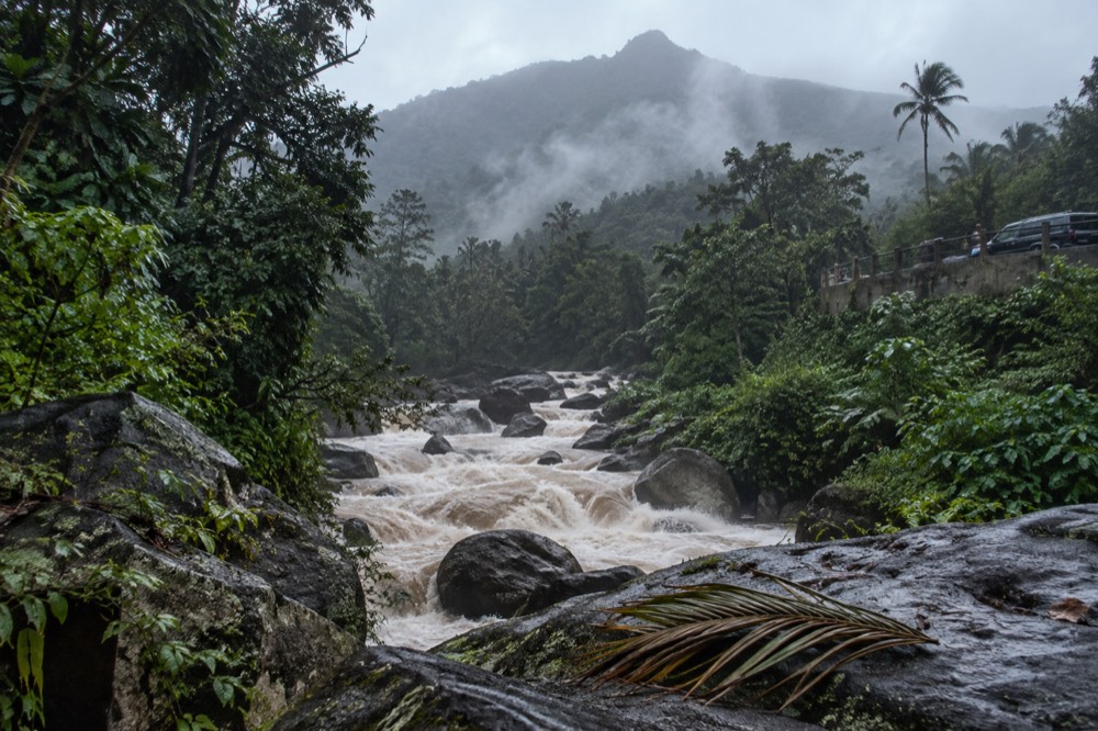 A rainforest river rushing over rocks after rain, with mist in the trees