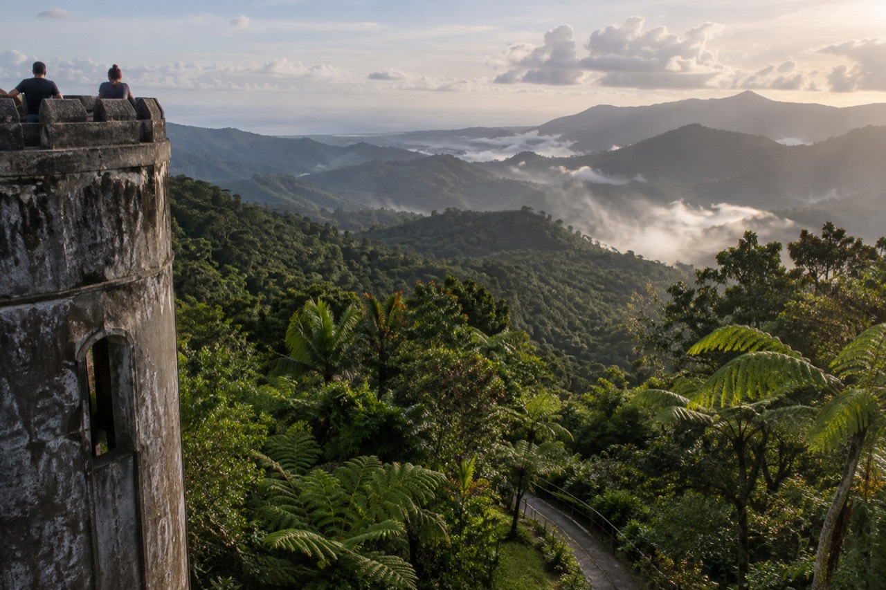 Tropical rainforest hillside in soft morning light with layered green canopy and a narrow trail curving through ferns
