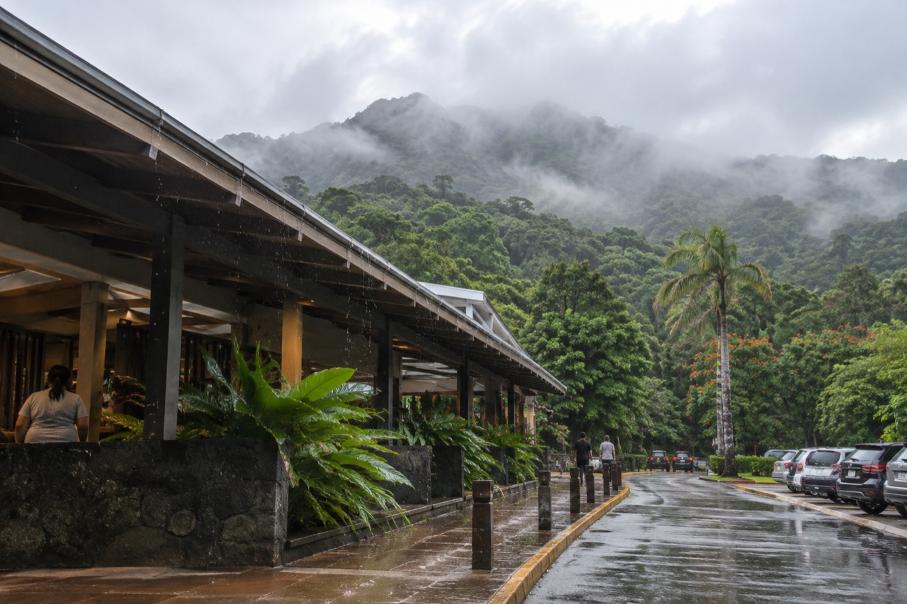 Dense green rainforest covered in mist on the slopes of the Luquillo Mountains