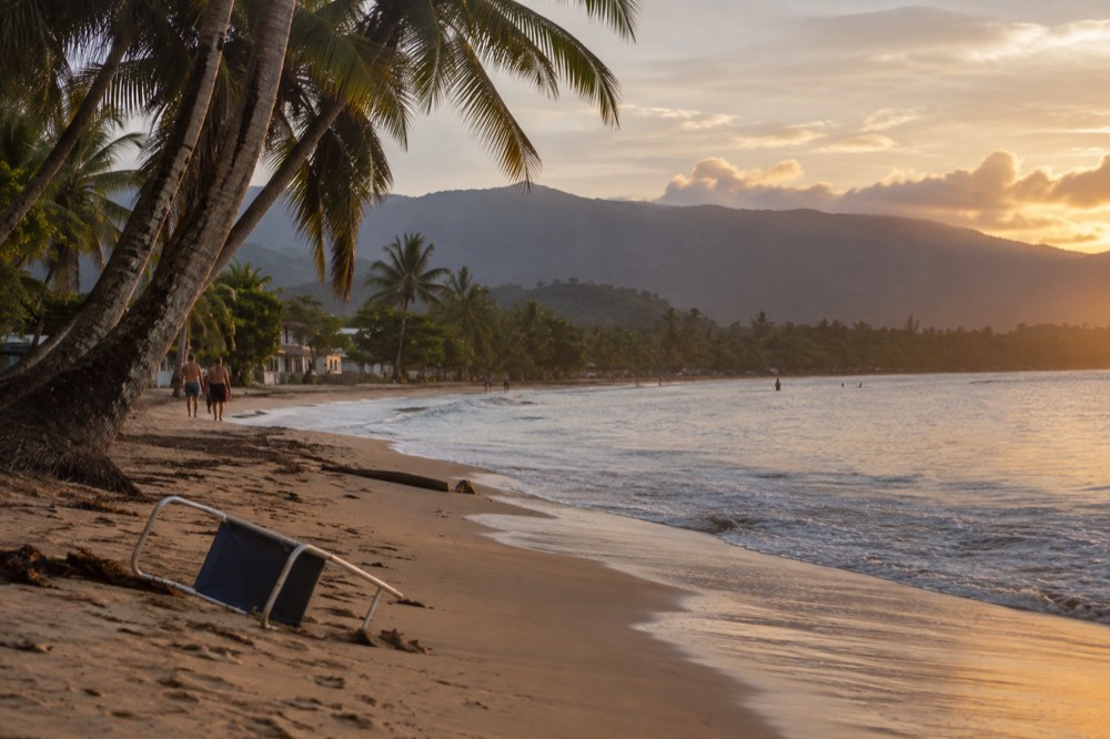 Coconut palms along a calm beach with distant rainforest hills behind