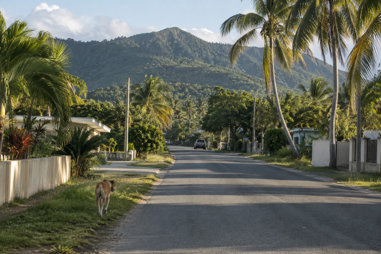 Green forested mountains rising behind a quiet coastal road in eastern Puerto Rico