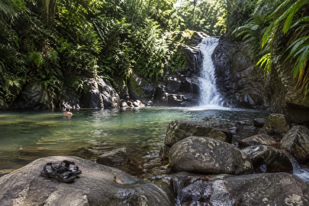 A calm river pool in a green rainforest with smooth rocks along the bank