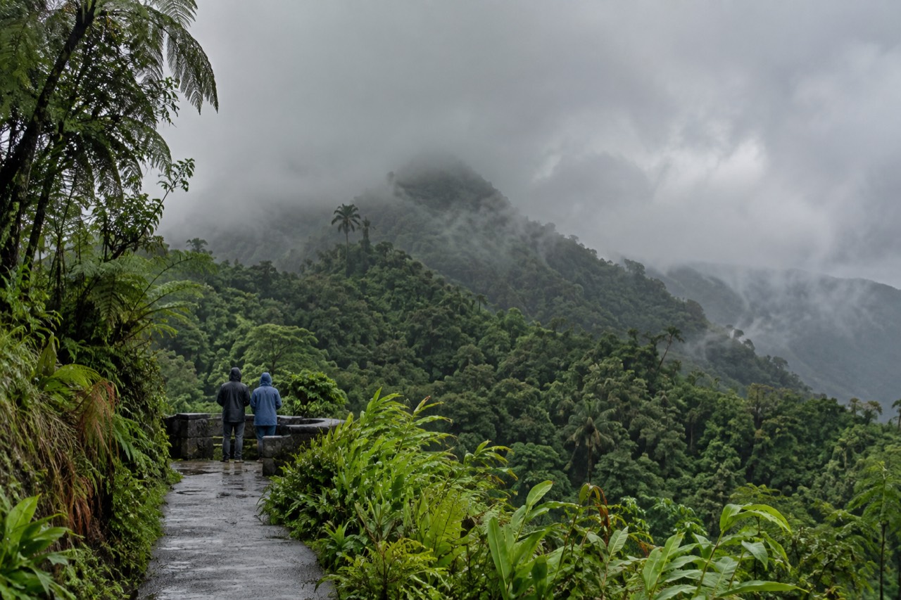 Dense green rainforest canopy covering steep mountainsides under low clouds