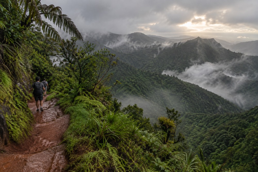 A dense rainforest valley with mist drifting between steep green ridges