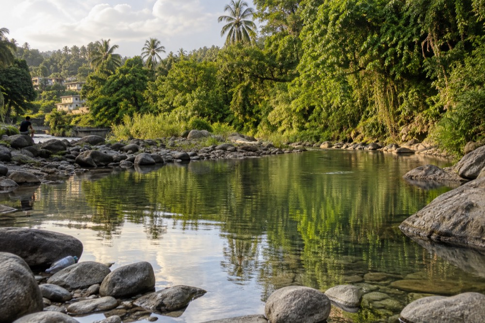 A calm river pool reflecting green forest along a rocky bank in soft light