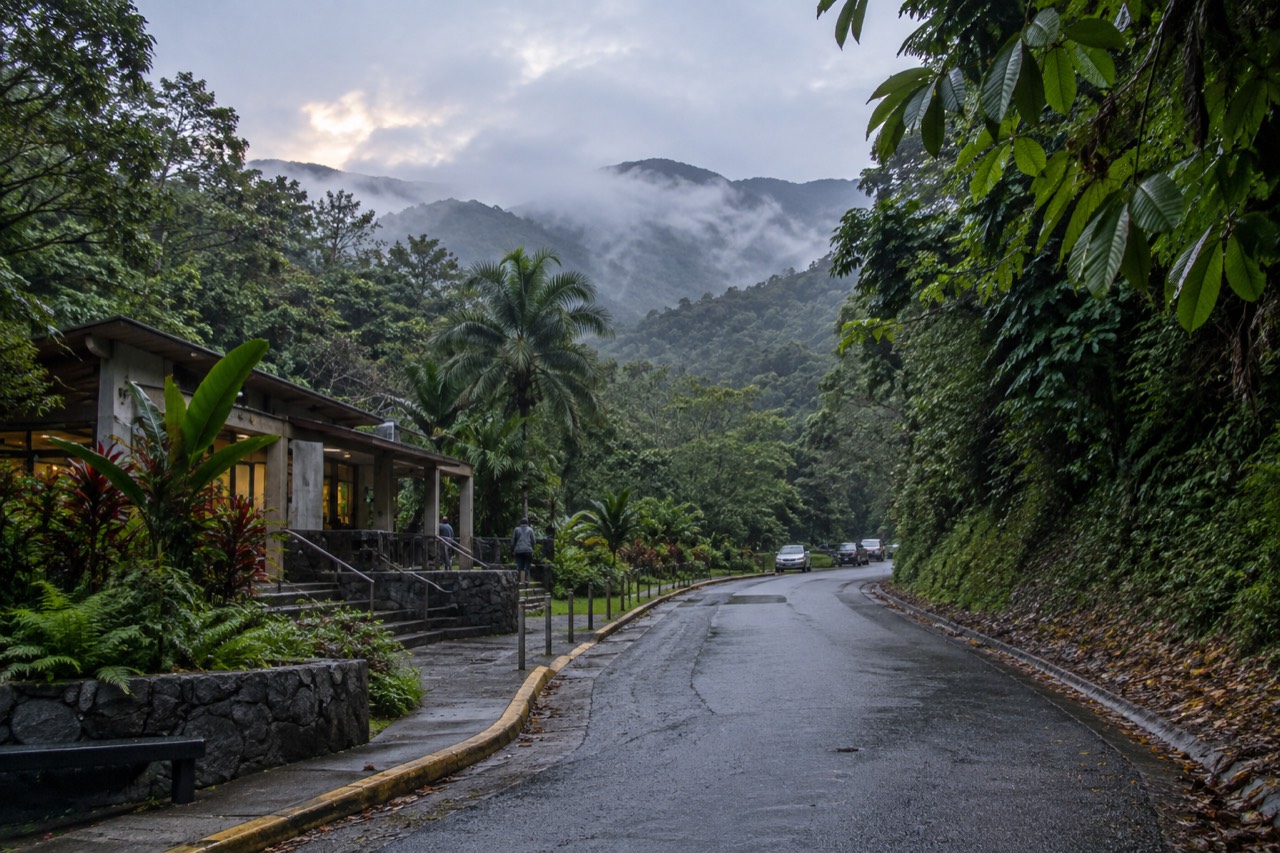A rainforest road winding through dense green mountains with low clouds resting on the peaks
