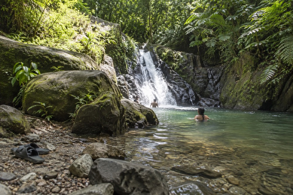 A river pool at the base of rocks in a green forest clearing