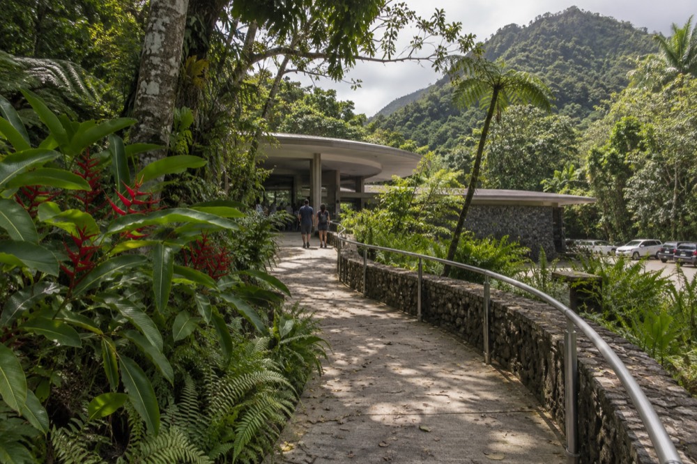 Visitor center walkway curving through tropical gardens and green canopy