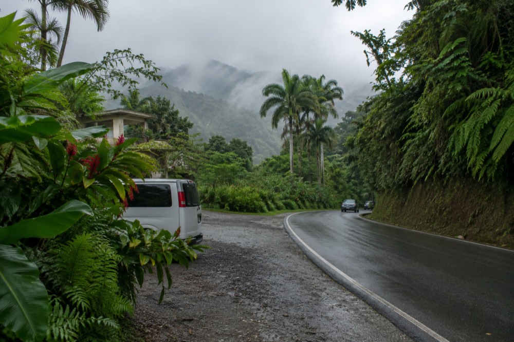 Misty El Yunque foothills with a narrow mountain road curving through green forest