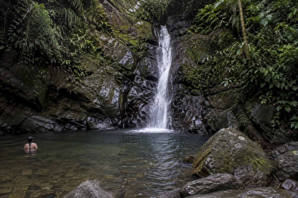 A narrow waterfall dropping over mossy rocks into a small clear pool