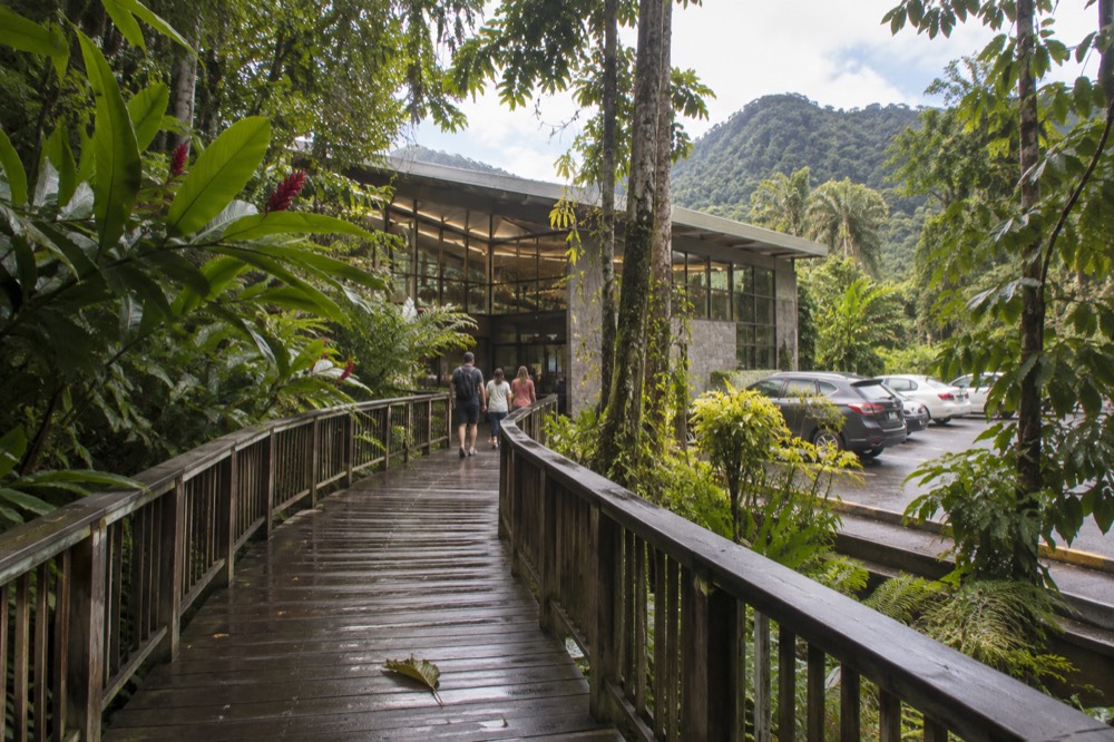 Wooden walkway leading to a visitor center building surrounded by rainforest foliage