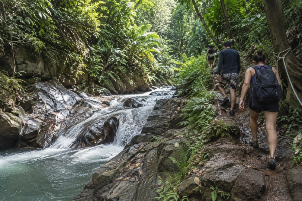 Small group of hikers on a muddy rainforest trail beside a rushing stream