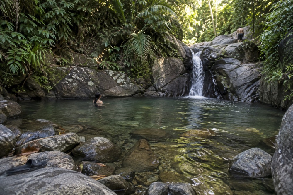 A rainforest river pool with calm water and large boulders at the edge