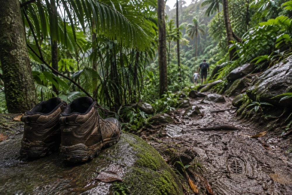 A pair of hiking shoes on wet mossy rock beside a rainforest trail