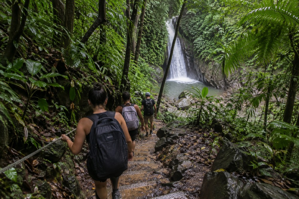 A small group walking a muddy rainforest trail behind a guide