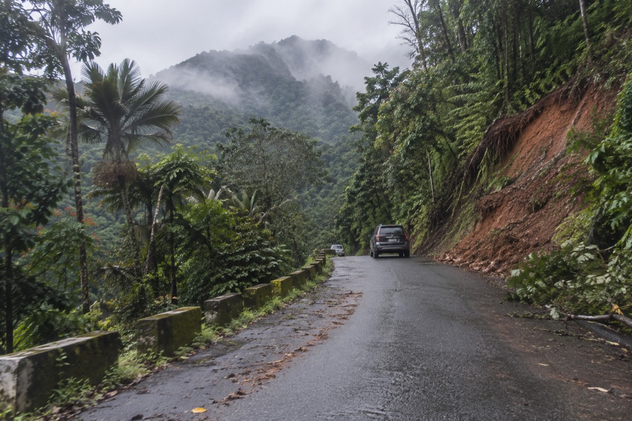 A winding forest road climbing through dense green rainforest hills