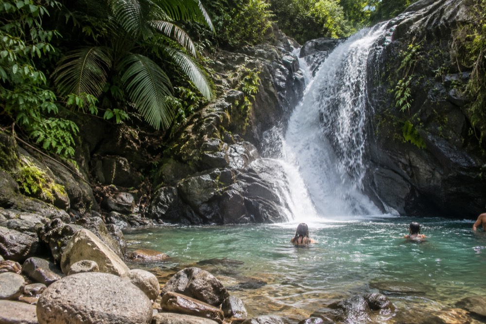A shallow natural pool at the base of a small cascade with rocks and overhanging greenery