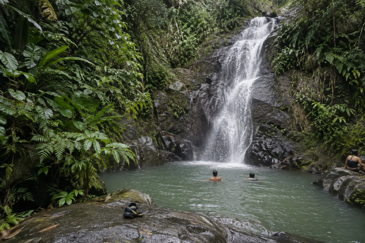 A narrow waterfall dropping over dark rock ledges into a small pool surrounded by dense green rainforest