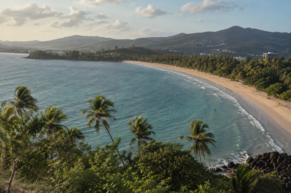 Calm crescent bay with turquoise water, palm trees and a wide sandy beach