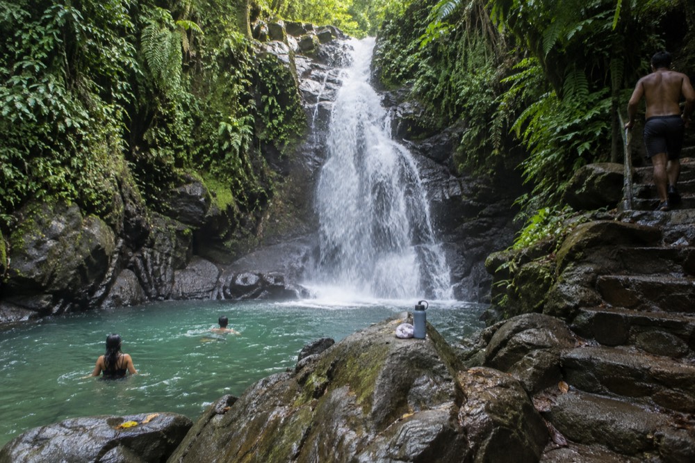 Waterfall cascading over mossy rocks in a green rainforest gorge