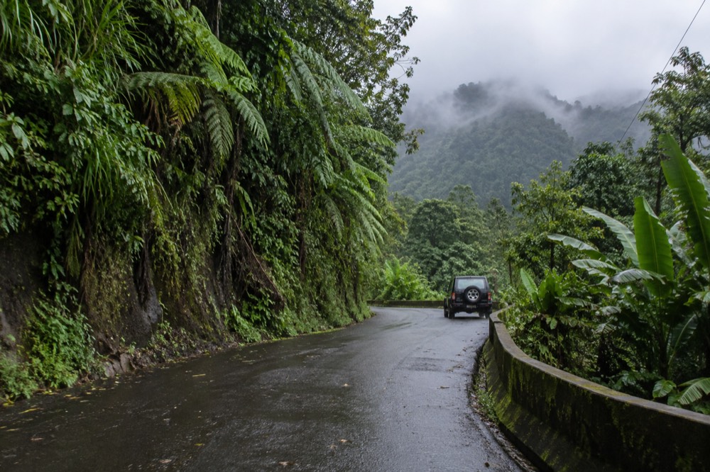 View of a forested road leading uphill with clouds over the peaks